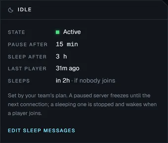 The Idle panel: the server is active, pauses after 15 minutes and sleeps after 3 hours if nobody joins.