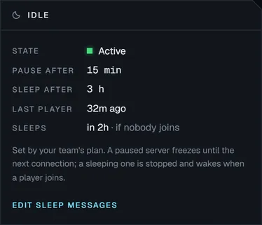 The Idle panel: the server is active, pauses after 15 minutes and sleeps after 3 hours if nobody joins.