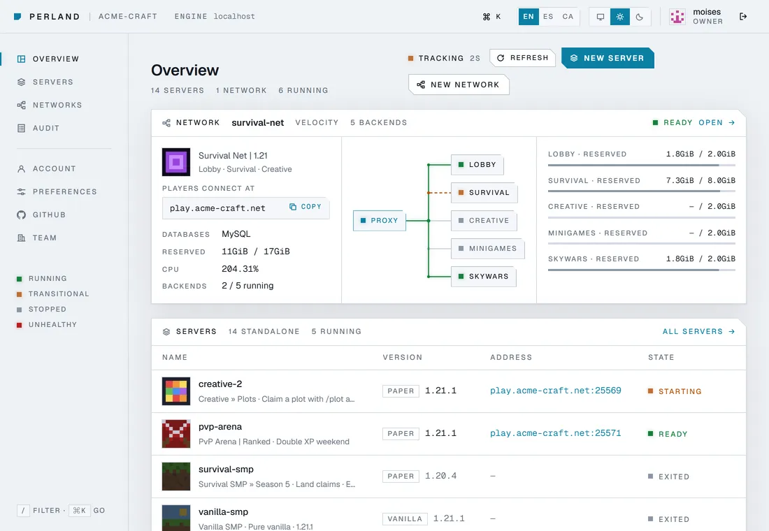 The Panel's overview in its light theme: a network with its wiring and the list of servers.