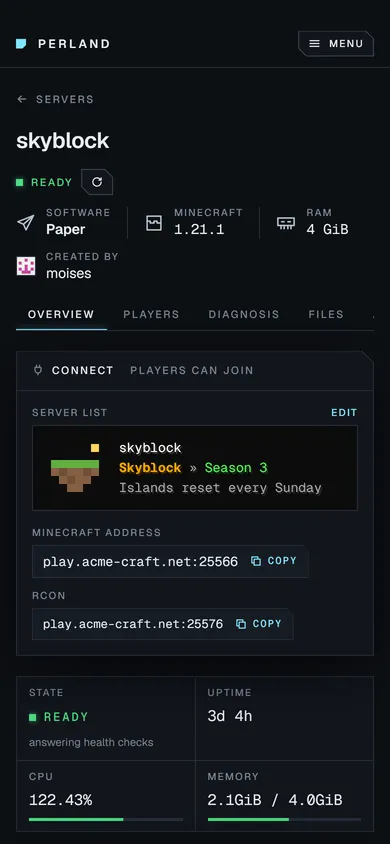 The server page on a phone: the skyblock server is ready, with its server list entry, address, uptime, CPU and memory.