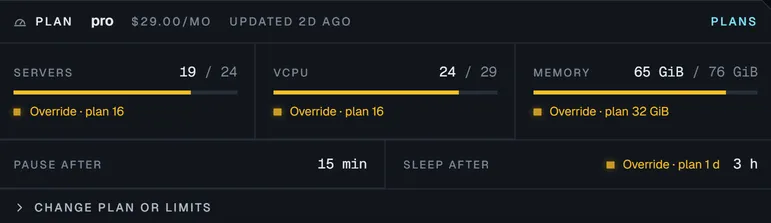 A customer's plan in the admin console: servers, vCPU and memory used against their limits, with overrides and idle rules.