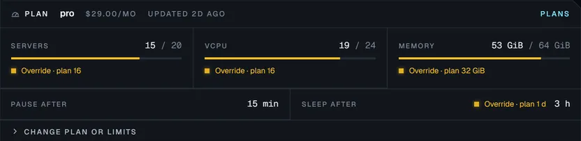 A customer's plan in the admin console: servers, vCPU and memory used against their limits, with overrides and idle rules.