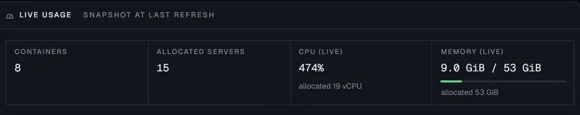 Live usage for a customer: allocated servers, CPU and memory in use right now.